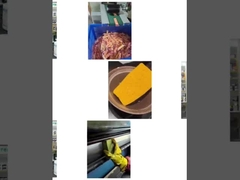 أسفنجة سيريس